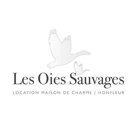 בית נופש Les Oies Sauvages הונפלר